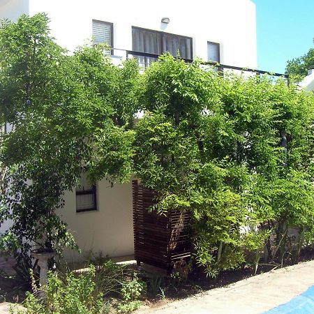 16 Rhodes-North Self Catering Apartment & Studio Stellenbosch Eksteriør bilde