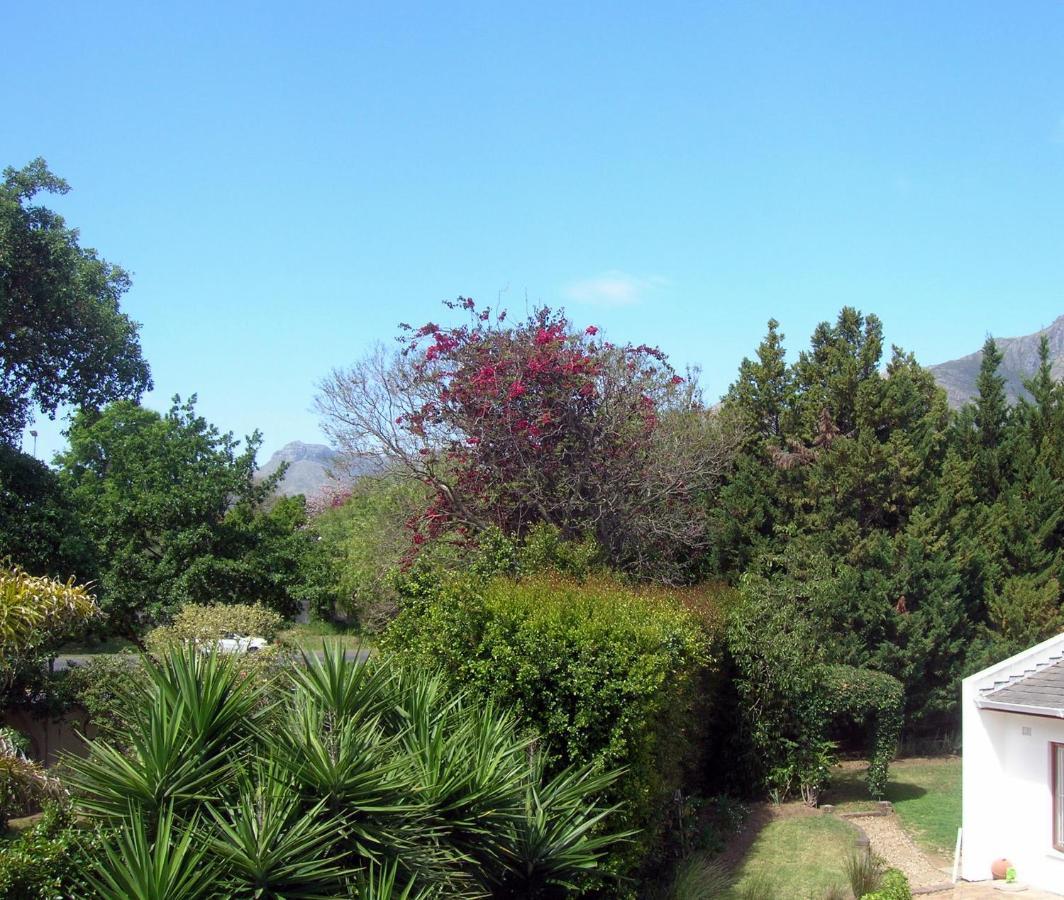 16 Rhodes-North Self Catering Apartment & Studio Stellenbosch Eksteriør bilde